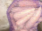Продам моркву 7грн за 1кг.