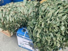 Плюс дві маскувальні сітки для наших Захисників Плюс-дві-маскувальні-сітки-для-наших-Захисників