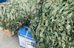 Плюс дві маскувальні сітки для наших Захисників Плюс-дві-маскувальні-сітки-для-наших-Захисників