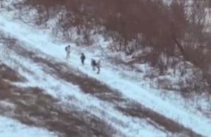 Український FPV-дрон уразив чотирьох російських загарбників. ВIДЕО Український-fpv-дрон-уразив-чотирьох-російських-загарбників.-ВiДЕО