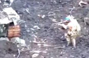 Український воїн “викурює” окупантів зі сховку під пошкодженою бронемашиною. ВIДЕО Український-воїн-“викурює”-окупантів-зі-сховку-під-пошкодженою-бронемашиною.-ВiДЕО