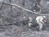 Бійці 47-ї ОМБр нищать окупантів ударними дронами. ВIДЕО Бійці-47-ї-ОМБр-нищать-окупантів-ударними-дронами.-ВiДЕО