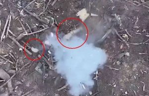 Нога окупанта та його шолом летять у повітрі після скиду гранати з українського дрона. ВIДЕО... Нога-окупанта-та-його-шолом-летять-у-повітрі-після-скиду-гранати-з-українського-дрона-ВiДЕО.