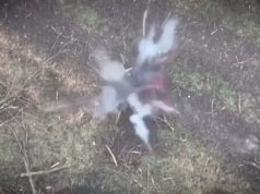 Окупант підірвав себе гранатою на полі бою. ВIДЕО 18+ Окупант-підірвав-себе-гранатою-на-полі-бою.-ВiДЕО-18+