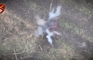 Окупант підірвав себе гранатою на полі бою. ВIДЕО 18+ Окупант-підірвав-себе-гранатою-на-полі-бою.-ВiДЕО-18+