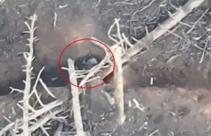 Окупант вкоротив собі віку під час бою на кремінському напрямку. ВIДЕО Окупант-вкоротив-собі-віку-під-час-бою-на-кремінському-напрямку.-ВiДЕО