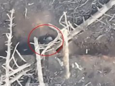 Загарбник укоротив собі віку під час бою на кремінському напрямку. ВIДЕО Загарбник-укоротив-собі-віку-під-час-бою-на-кремінському-напрямку.-ВiДЕО