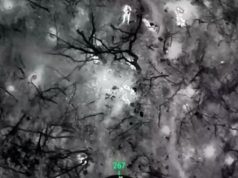 Нацгвардійці зірвали штурм окупантів на Запорізькому напрямку. ВIДЕО Нацгвардійці-зірвали-штурм-окупантів-на-Запорізькому-напрямку.-ВiДЕО