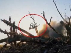 Зброю окупанта вибуховою хвилею відкидає до українських воїнів: “Автомат наш, сука!”. ВIДЕО Зброю-окупанта-вибуховою-хвилею-відкидає-до-українських-воїнів:-“Автомат-наш,-сука!”.-ВiДЕО