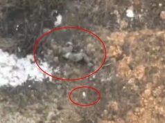 Окупант зникає після удару дрона-камікадзе. ВIДЕО Окупант-зникає-після-удару-дрона-камікадзе.-ВiДЕО