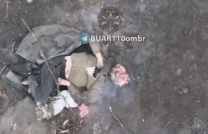 Окупанту відірвало пів голови після влучання боєприпасу з українського дрона. ВIДЕО 18+ Окупанту-відірвало-пів-голови-після-влучання-боєприпасу-з-українського-дрона.-ВiДЕО-18+