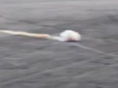 Бійці за допомогою шведського ПТРК NLAW знищують дві ворожі бронемашини. ВIДЕО Бійці-за-допомогою-шведського-ПТРК-nlaw-знищують-дві-ворожі-бронемашини.-ВiДЕО