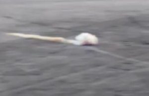 Бійці за допомогою шведського ПТРК NLAW знищують дві ворожі бронемашини. ВIДЕО Бійці-за-допомогою-шведського-ПТРК-nlaw-знищують-дві-ворожі-бронемашини.-ВiДЕО