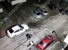 “Я, бл#дь, твій господар”, – російський окупант у відпустці спочатку проводить “уроки мужності” в школі,... “Я,-бл#дь,-твій-господар”,-–-російський-окупант-у-відпустці-спочатку-проводить-“уроки-мужності”-в-школі,.