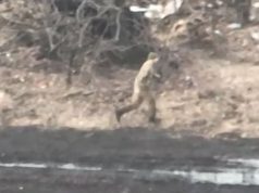 Оператори дронів ганяють окупантів переліском. ВIДЕО Оператори-дронів-ганяють-окупантів-переліском.-ВiДЕО