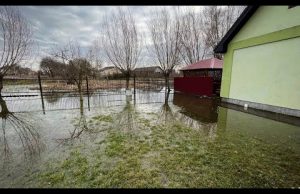 Поблизу Нововолинська декілька років поспіль топить грунтовими водами приватні будинки (ВІДЕО) Поблизу Нововолинська декілька років поспіль топить грунтовими водами приватні будинки (ВІДЕО)