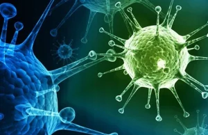 Інформація про епідситуацію на грип, ГРВІ та COVID-19 у Нововолинській громаді Інформація-про-епідситуацію-на-грип,-ГРВІ-та-covid-19-у-Нововолинській-громаді