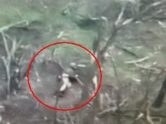 Окупант загубив штани на полі бою у Кринках. ВIДЕО 18+ Окупант-загубив-штани-на-полі-бою-у-Кринках.-ВiДЕО-18+