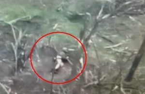 Окупант загубив штани на полі бою у Кринках. ВIДЕО 18+ Окупант-загубив-штани-на-полі-бою-у-Кринках.-ВiДЕО-18+