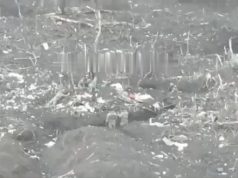 Окупанти розстріляли полонених українських бійців біля Роботиного. ВIДЕО Окупанти-розстріляли-полонених-українських-бійців-біля-Роботиного.-ВiДЕО