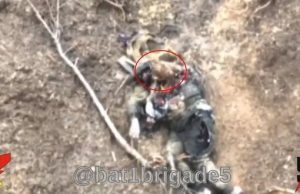 Птах клює нутрощі ліквідованого окупанта. ВIДЕО 18+ Птах-клює-нутрощі-ліквідованого-окупанта.-ВiДЕО-18+