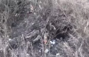 Росіяни знову розстріляли українських військовополонених, – Лубінець. ВIДЕО Росіяни-знову-розстріляли-українських-військовополонених,-–-Лубінець.-ВiДЕО