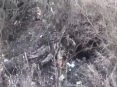 Росіяни знову розстріляли українських військовополонених, – Лубінець. ВIДЕО Росіяни-знову-розстріляли-українських-військовополонених,-–-Лубінець.-ВiДЕО