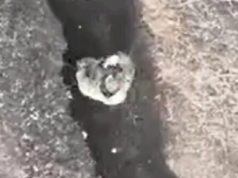 Окупант в окопі жестами просить сигарет у свого дрона, але отримує міну з українського. ВIДЕО Окупант-в-окопі-жестами-просить-сигарет-у-свого-дрона,-але-отримує-міну-з-українського.-ВiДЕО