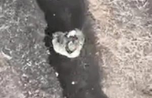 Окупант в окопі жестами просить сигарет у свого дрона, але отримує міну з українського. ВIДЕО Окупант-в-окопі-жестами-просить-сигарет-у-свого-дрона,-але-отримує-міну-з-українського.-ВiДЕО