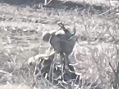 Дрон поцілив в окупанта, який на польовій дорозі покинув помирати свого товариша. ВIДЕО Дрон-поцілив-в-окупанта,-який-на-польовій-дорозі-покинув-помирати-свого-товариша.-ВiДЕО