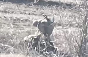 Дрон поцілив в окупанта, який на польовій дорозі покинув помирати свого товариша. ВIДЕО Дрон-поцілив-в-окупанта,-який-на-польовій-дорозі-покинув-помирати-свого-товариша.-ВiДЕО