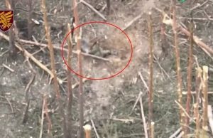 Поранений російський окупант застрелився з автомата на полі бою. ВIДЕО Поранений-російський-окупант-застрелився-з-автомата-на-полі-бою.-ВiДЕО