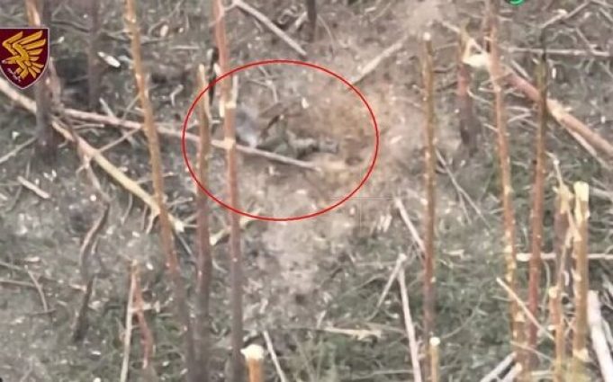 Поранений російський окупант застрелився з автомата на полі бою. ВIДЕО Поранений-російський-окупант-застрелився-з-автомата-на-полі-бою.-ВiДЕО