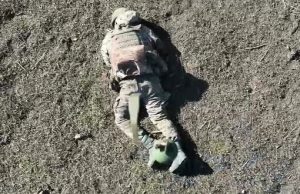 Пів окупанта зникло після скиду гранати з українського дрона. ВIДЕО 18+ Пів-окупанта-зникло-після-скиду-гранати-з-українського-дрона.-ВiДЕО-18+