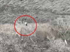 Оператор дрона поцілив в окупанта-мародера з мішком на плечах. ВIДЕО Оператор-дрона-поцілив-в-окупанта-мародера-з-мішком-на-плечах.-ВiДЕО