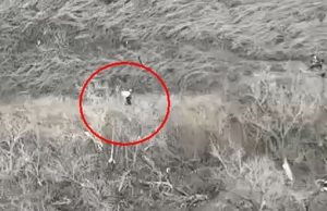 Оператор дрона поцілив в окупанта-мародера з мішком на плечах. ВIДЕО Оператор-дрона-поцілив-в-окупанта-мародера-з-мішком-на-плечах.-ВiДЕО