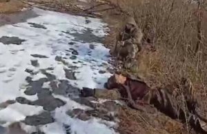 Прикордонники беруть у полон росіянина: “Підніми руки, ти в мене на прицілі, лягай на спину,... Прикордонники-беруть-у-полон-росіянина:-“Підніми-руки,-ти-в-мене-на-прицілі,-лягай-на-спину,.