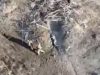 Бійці батальйону ім. Коцюбайла ліквідували сімох окупантів дронами “Дикі шершні”. ВIДЕО Бійці-батальйону-ім-Коцюбайла-ліквідували-сімох-окупантів-дронами-“Дикі-шершні”.-ВiДЕО