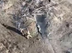 Бійці батальйону ім. Коцюбайла ліквідували сімох окупантів дронами “Дикі шершні”. ВIДЕО Бійці-батальйону-ім-Коцюбайла-ліквідували-сімох-окупантів-дронами-“Дикі-шершні”.-ВiДЕО