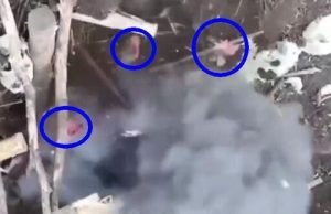 Шматки окупанта летять у різні боки після вибуху гранати. ВIДЕО 18+ Шматки-окупанта-летять-у-різні-боки-після-вибуху-гранати.-ВiДЕО-18+