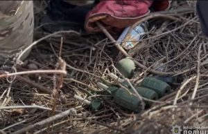 Поліція виявила пакунок з 10 бойовими гранатами біля навчального закладу в Запоріжжі. ВIДЕО Поліція-виявила-пакунок-з-10-бойовими-гранатами-біля-навчального-закладу-в-Запоріжжі.-ВiДЕО