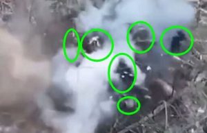 Шматки окупанта летять у повітрі після атаки українського дрона-камікадзе. ВIДЕО 18+ Шматки-окупанта-летять-у-повітрі-після-атаки-українського-дрона-камікадзе.-ВiДЕО-18+