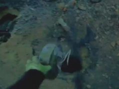 Бійці викурюють окупантів із нір протитанковими мінами ТМ-62. ВIДЕО Бійці-викурюють-окупантів-із-нір-протитанковими-мінами-ТМ-62.-ВiДЕО