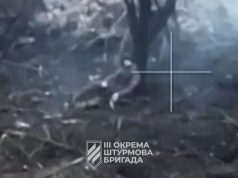 Дрон-камікадзе ліквідував російського солдата, який марно прикидався мертвим. ВIДЕО Дрон-камікадзе-ліквідував-російського-солдата,-який-марно-прикидався-мертвим.-ВiДЕО