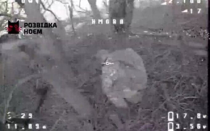 Українські воїни ліквідували окупанта, який причаївся та справляв нужду за деревом. ВIДЕО Українські-воїни-ліквідували-окупанта,-який-причаївся-та-справляв-нужду-за-деревом.-ВiДЕО