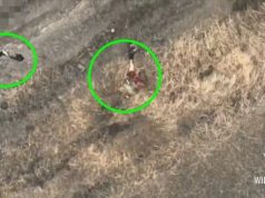 Нога окупанта летить на кілька метрів від тіла після удару українського дрона. ВIДЕО 18+ Нога-окупанта-летить-на-кілька-метрів-від-тіла-після-удару-українського-дрона.-ВiДЕО-18+