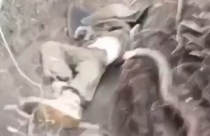 Тіла окупантів валяються в окопі на відвойованій українськими воїнами позиції. ВIДЕО 18+ Тіла-окупантів-валяються-в-окопі-на-відвойованій-українськими-воїнами-позиції.-ВiДЕО-18+