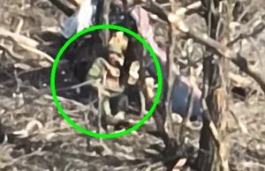 Окупант ліг подрімати і заснув вічним сном після удару українського дрона. ВIДЕО Окупант-ліг-подрімати-і-заснув-вічним-сном-після-удару-українського-дрона.-ВiДЕО