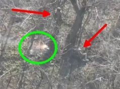 Окупант стрімголов тікає від свого поплічника, у якого влучив дрон-камікадзе. ВIДЕО Окупант-стрімголов-тікає-від-свого-поплічника,-у-якого-влучив-дрон-камікадзе.-ВiДЕО