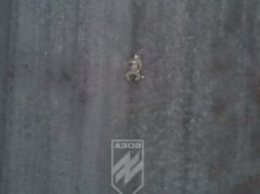 Бійці бригади “Азов” скидами з дронів зупиняють спроби штурму ворога поблизу Тернів. ВIДЕО Бійці-бригади-“Азов”-скидами-з-дронів-зупиняють-спроби-штурму-ворога-поблизу-Тернів.-ВiДЕО